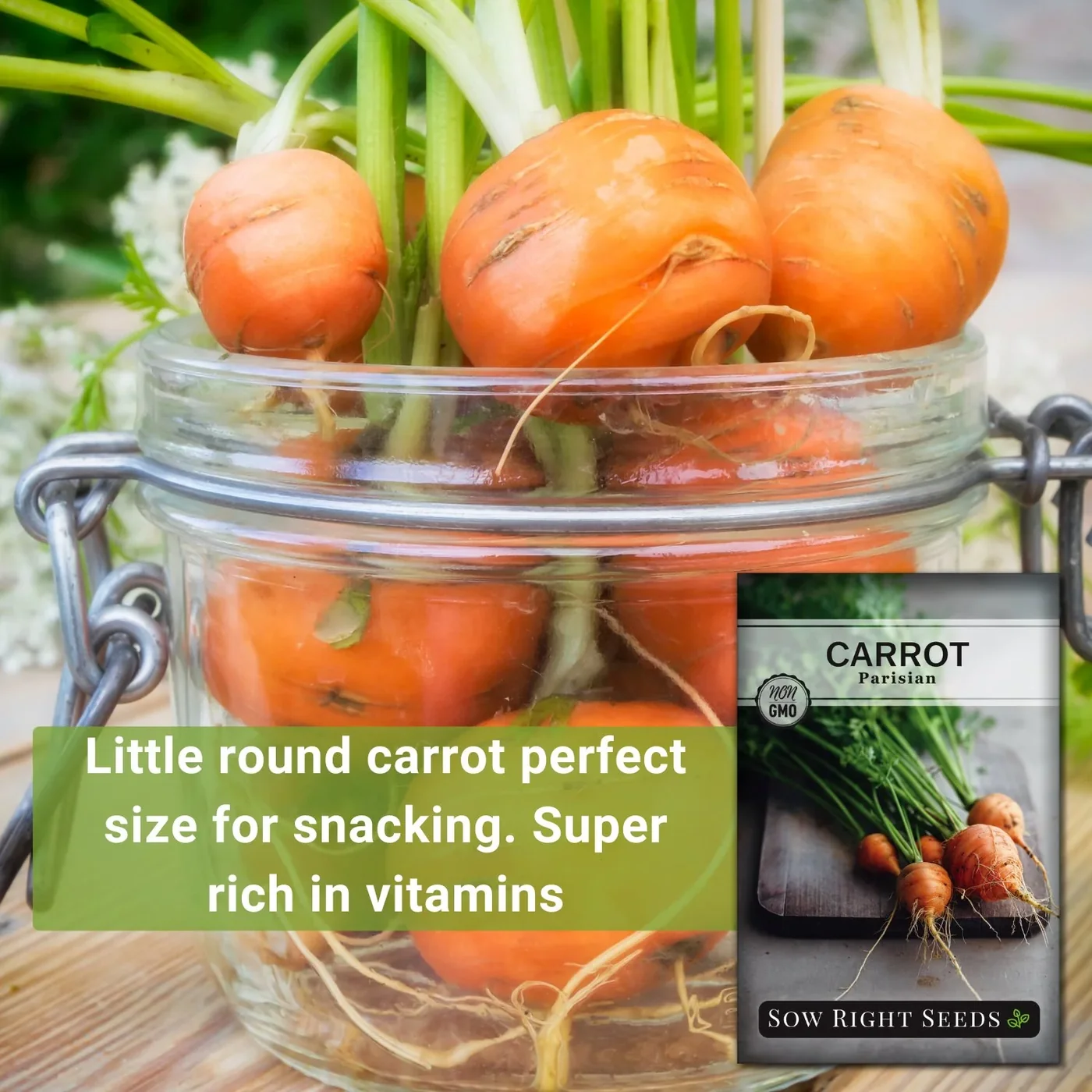 Sow Right Seeds Parisian carrot manufacturer product view 2