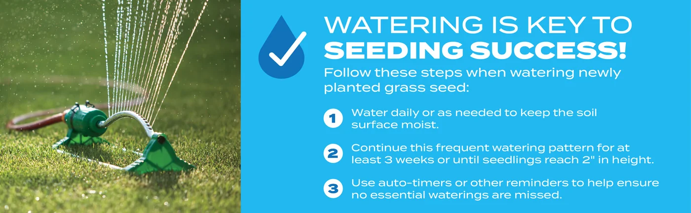 Scotts Turf Builder Sun & Shade Mix, 5.6 pounds: Watering is Key to Seeding Success