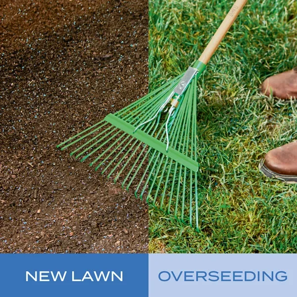 Scotts Turf Builder Sun & Shade Mix, 5.6 pounds: Step 3: Rake