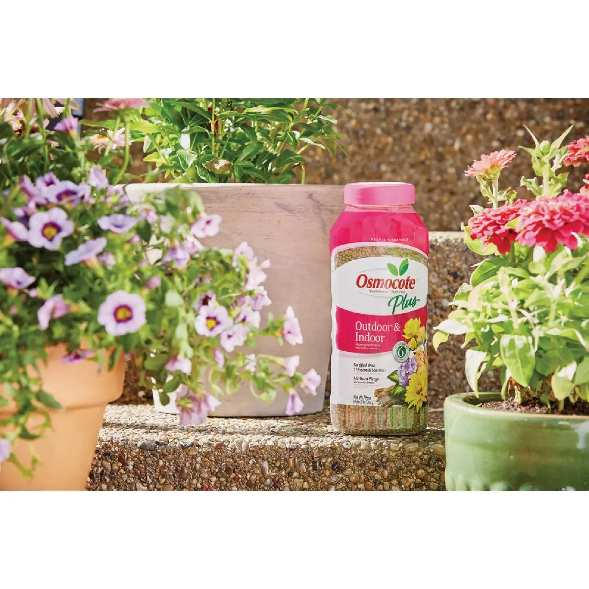 Osmocote Plus Outdoor & Indoor plant food, 2 lb., product view 2