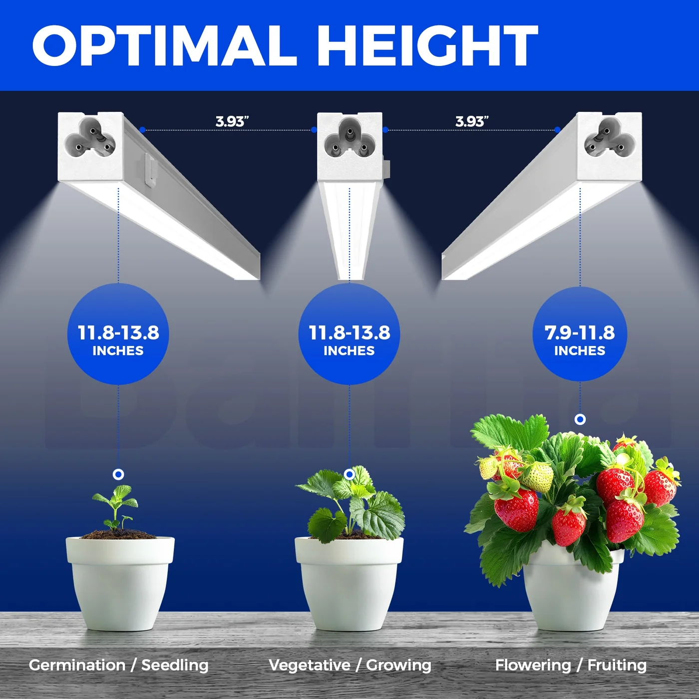 Barrina MC05 1-foot 5000K T5 grow lights, four pack, product view 3