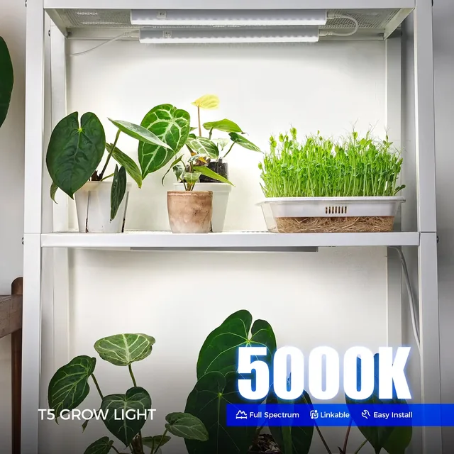 Barrina MC05 1-foot 5000K T5 grow lights, four pack, product view 2