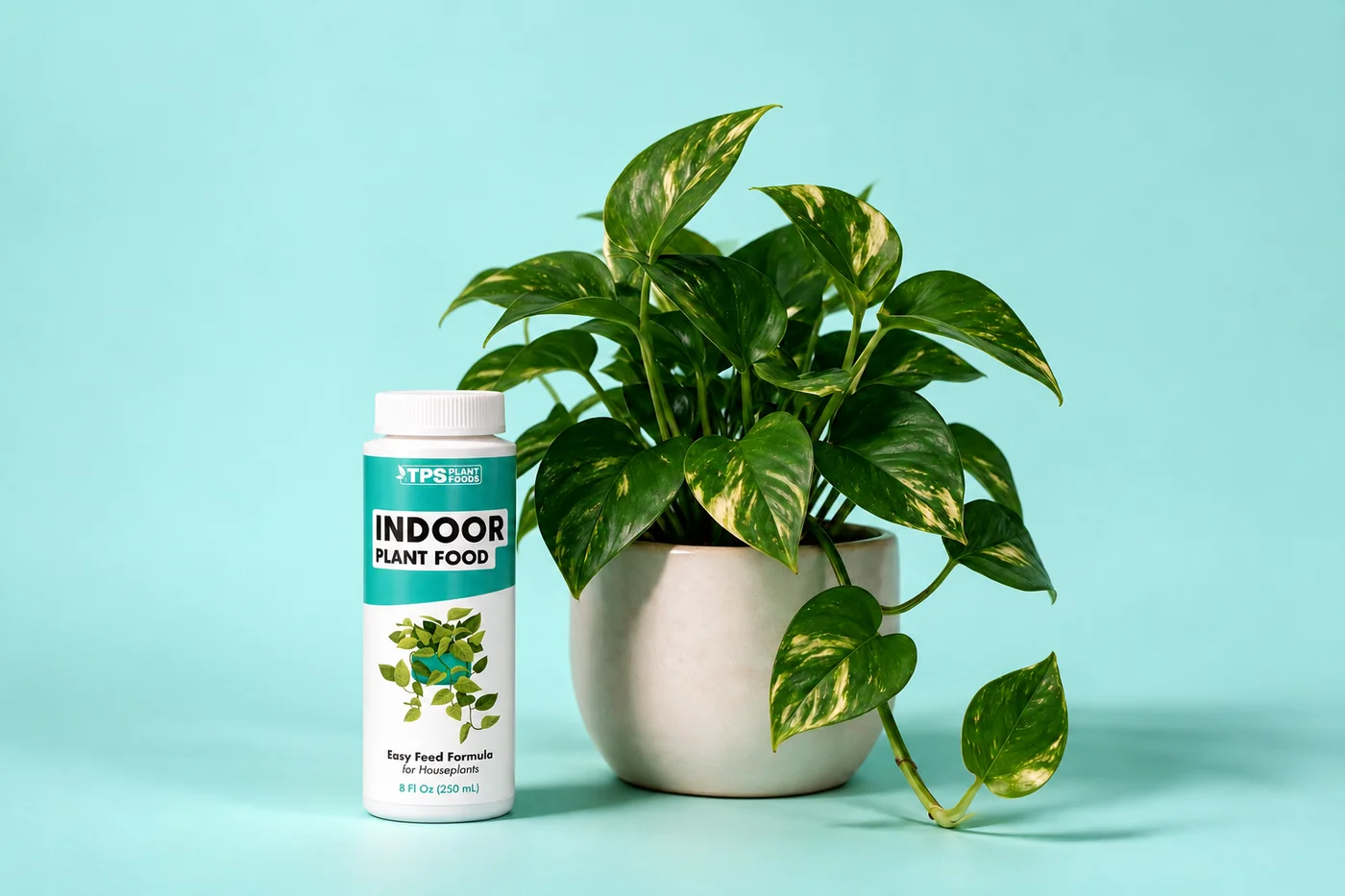 TPS Indoor Plant Food, 8 fl. oz., product view 2