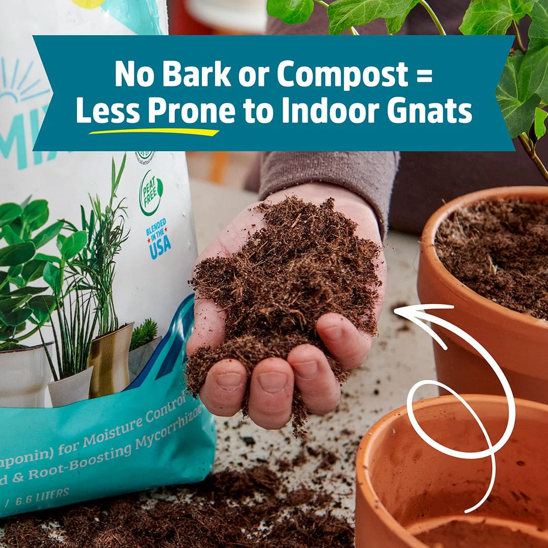Back to the Roots 6-quart organic indoor potting mix, product photograph 5