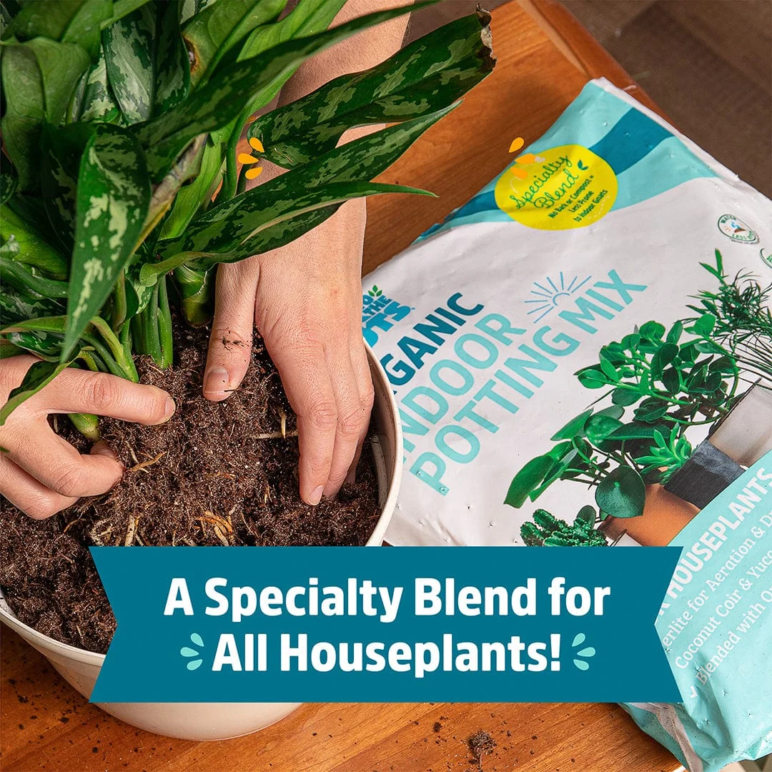 Back to the Roots 6-quart organic indoor potting mix, product photograph 6