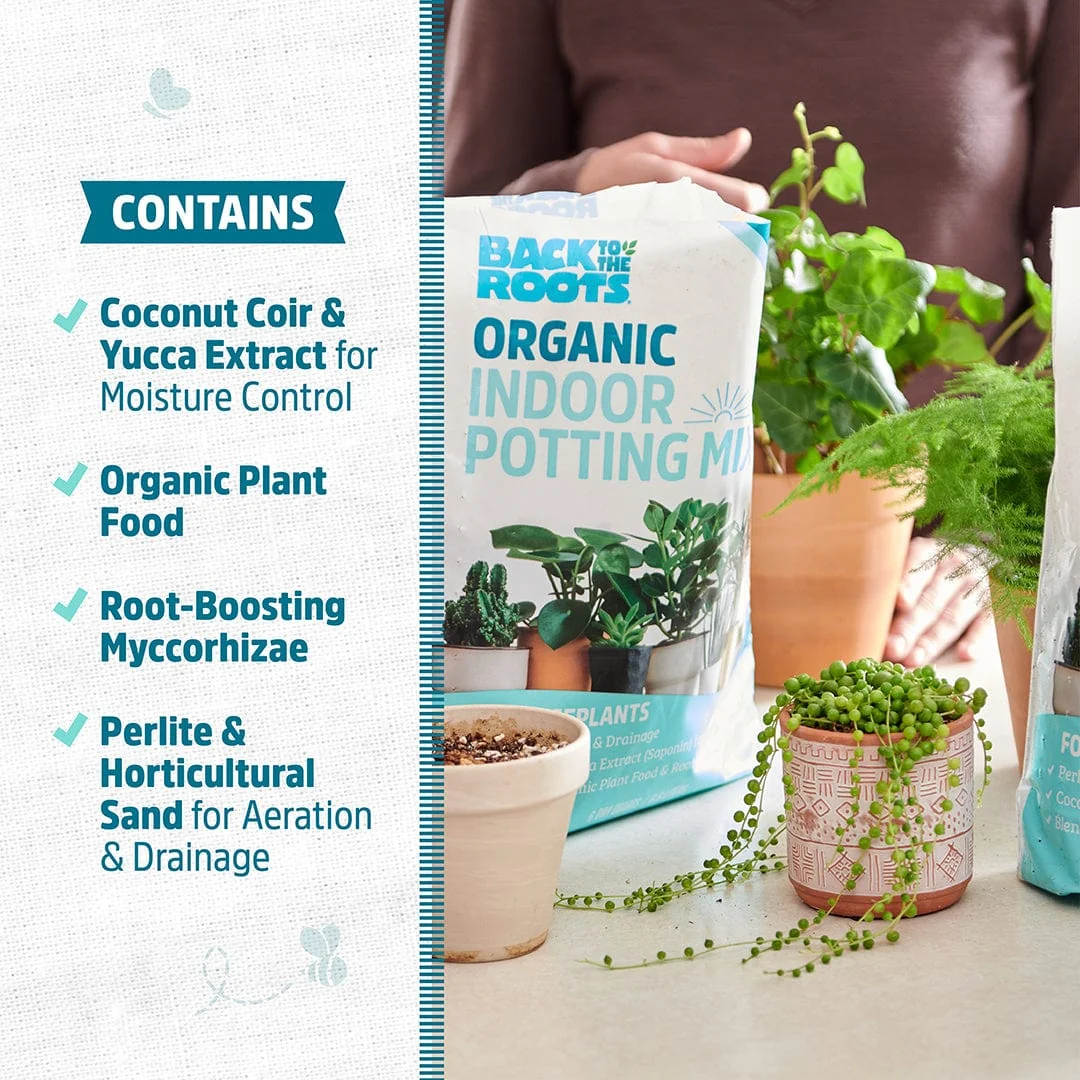 Back to the Roots 6-quart organic indoor potting mix, product photograph 2