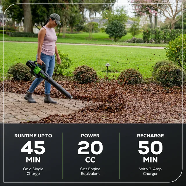 Greenworks BL60B210 leaf blower, manufacturer gallery view 4