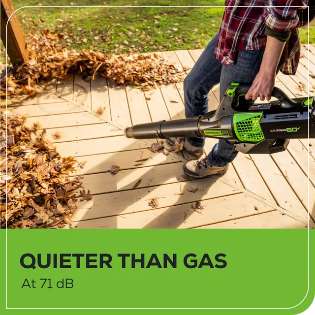 Greenworks BL60B210 leaf blower, manufacturer gallery view 6