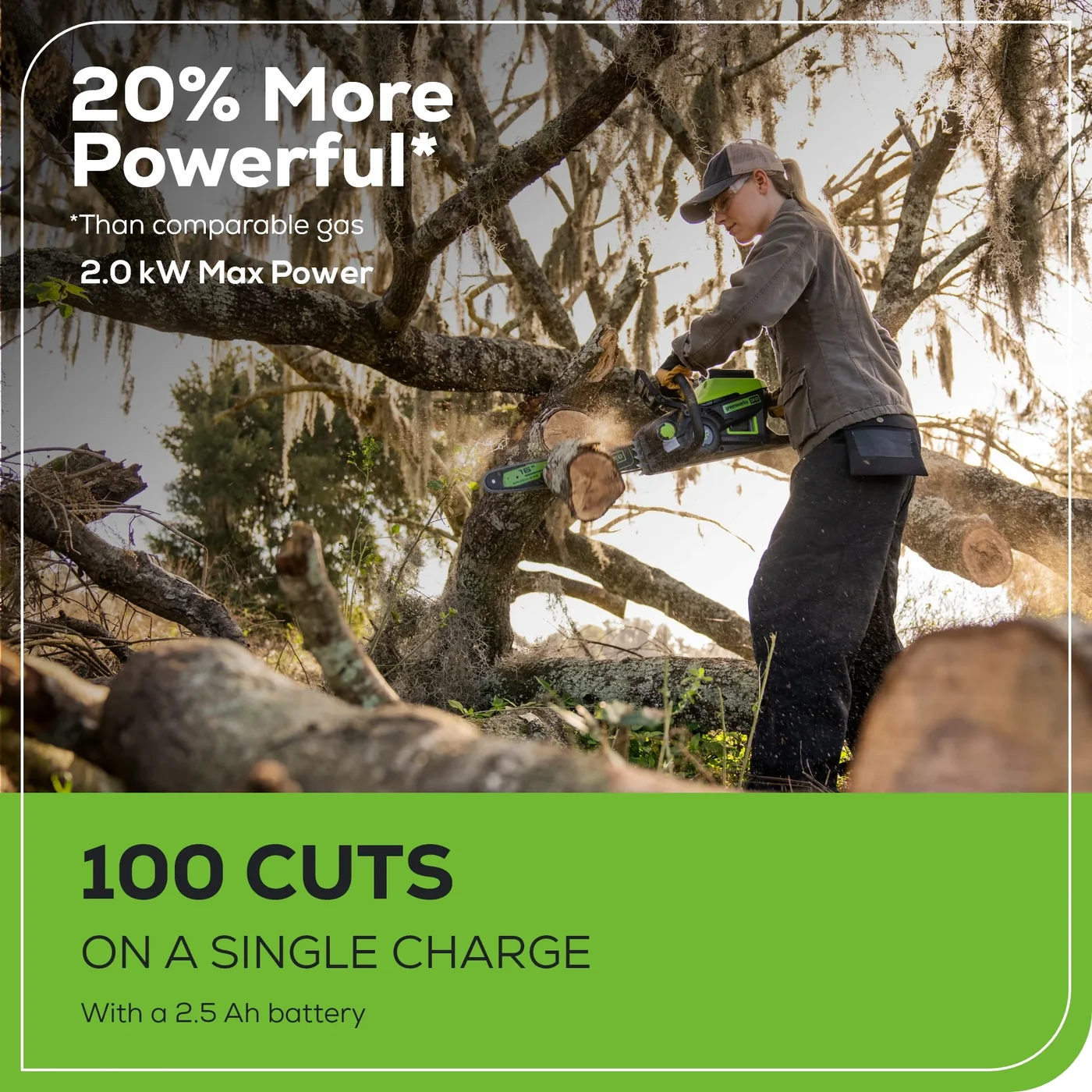 Greenworks 2019202 chainsaw, manufacturer gallery view 5