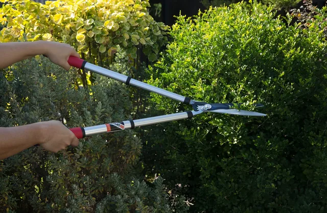Kimura Pro telescopic hedge shears, product gallery view 2