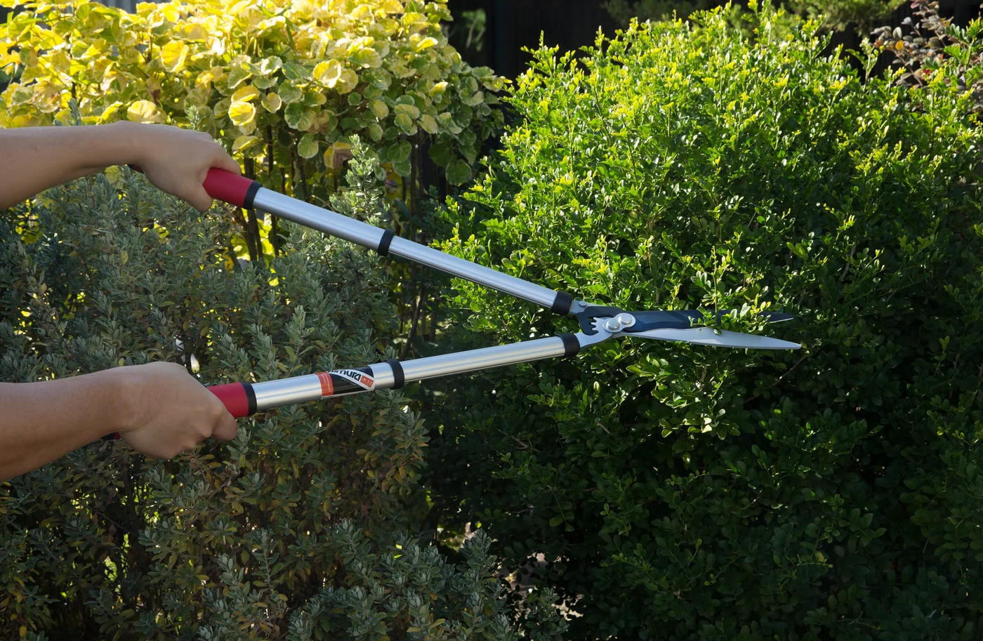 Kimura Pro telescopic hedge shears, product gallery view 2