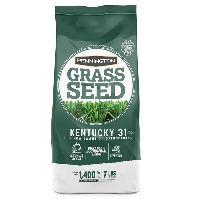 Pennington Kentucky 31 tall fescue grass seed, 7 lb, product view 1