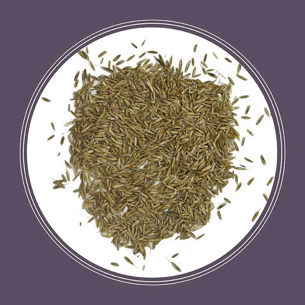 Pennington Annual Ryegrass grass seed, 10 lb., product view 3
