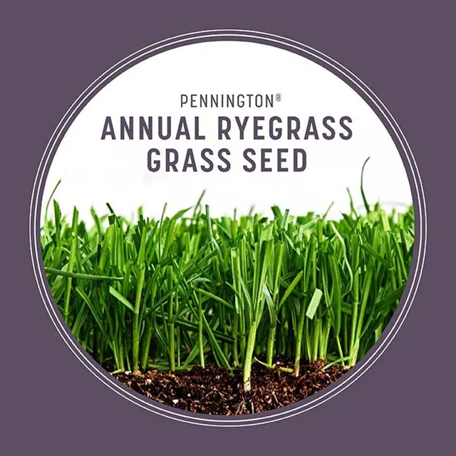 Pennington Annual Ryegrass grass seed, 10 lb., product view 6
