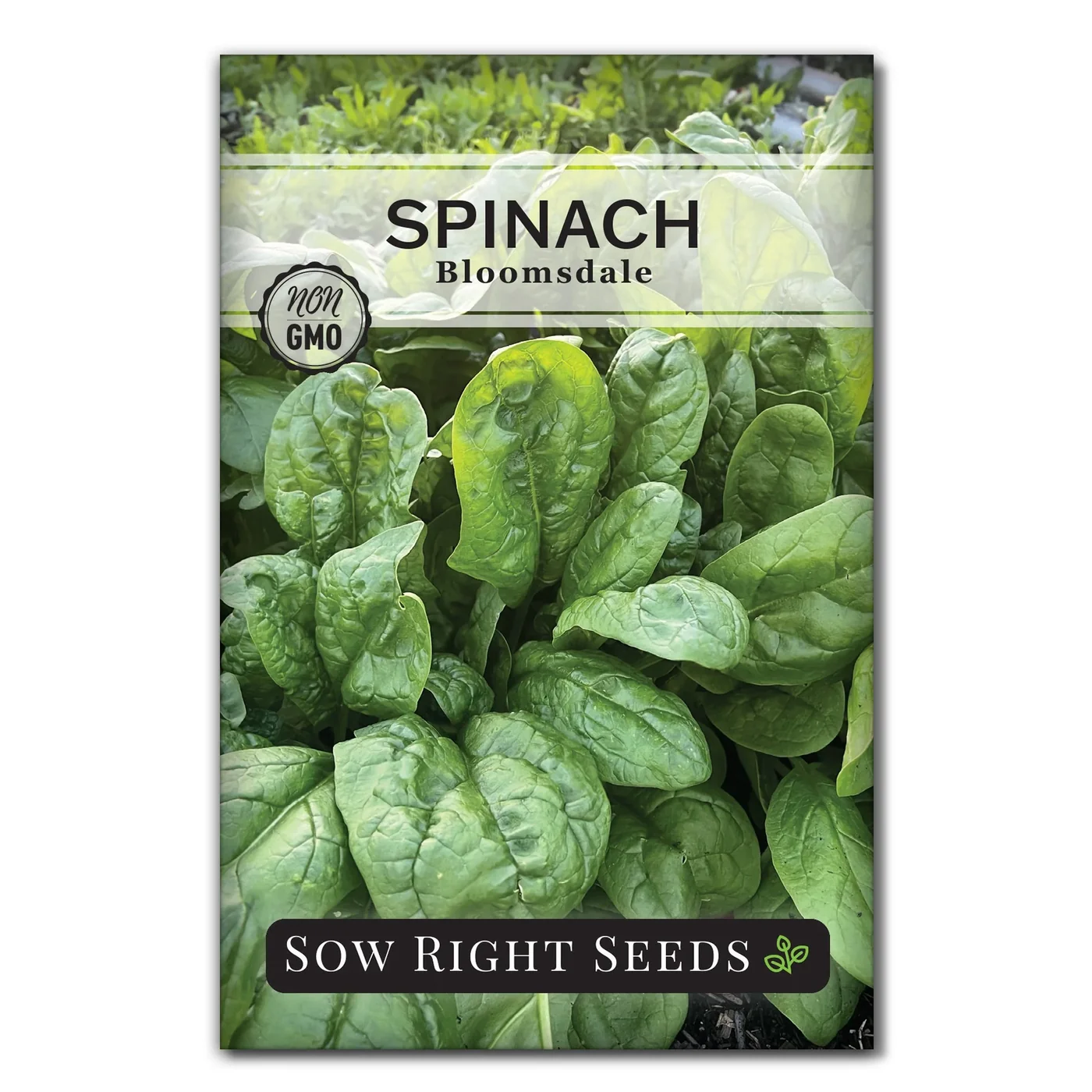 Sow Right Seeds Bloomsdale spinach manufacturer product view 1