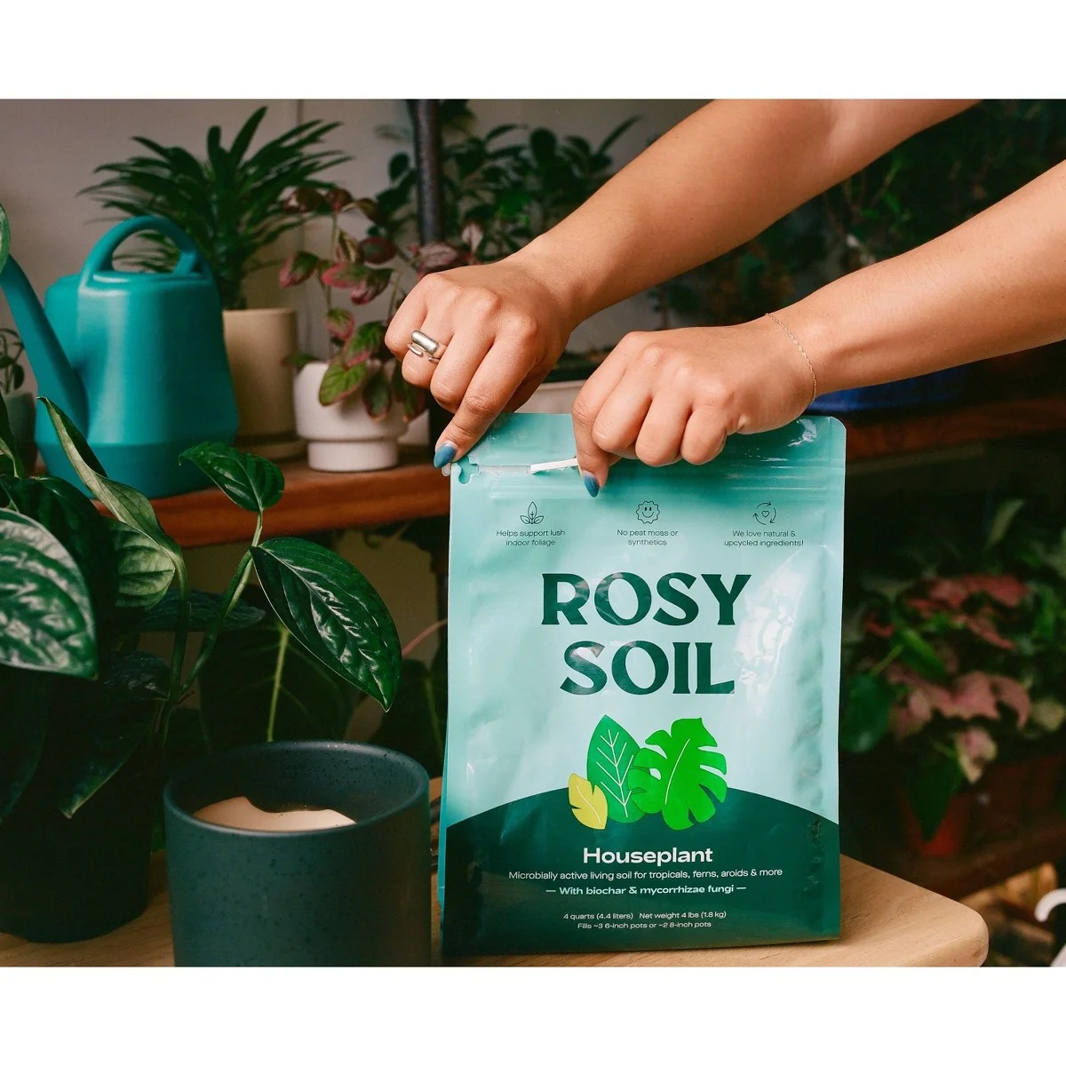 Rosy Soil Houseplant potting mix, 4 quart, product view 3