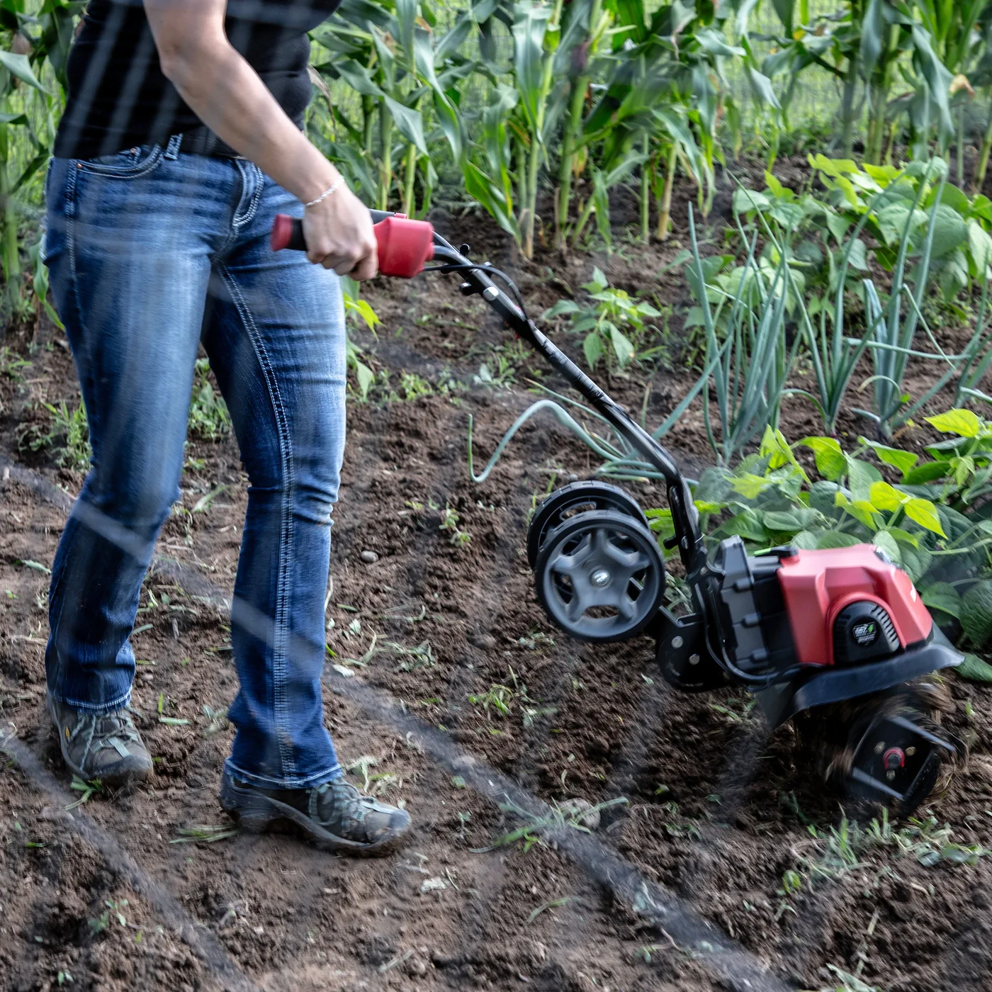 EARTHQUAKE 46091 cultivator, manufacturer gallery view 2