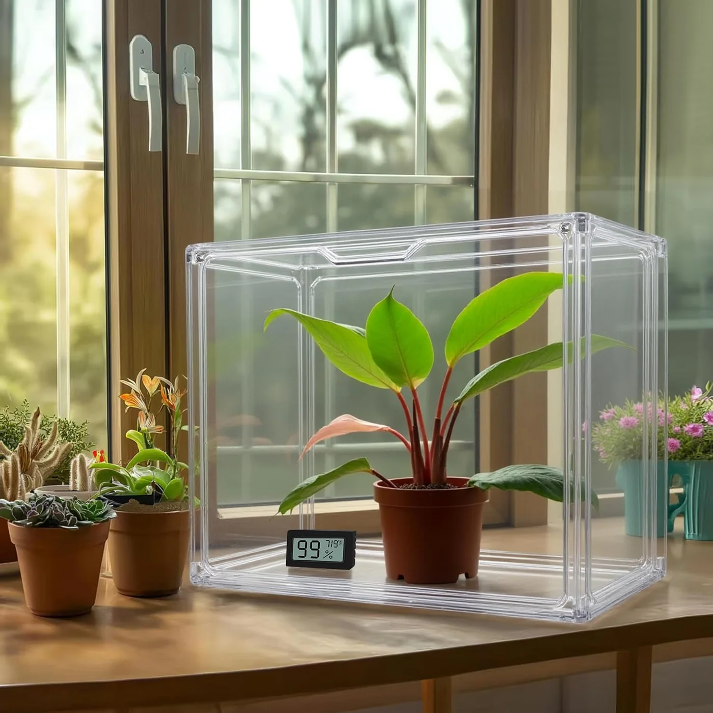 HBlife 14.1 × 8.6 × 10.6-inch mini greenhouse, one pack, product view 2