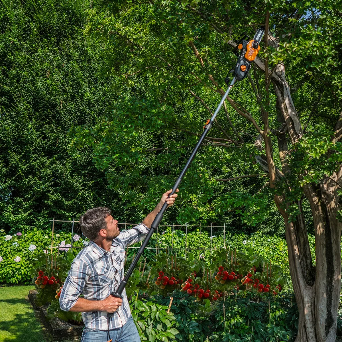 WORX WG311 8-amp 10-inch corded two-in-one pole saw, gallery view 3