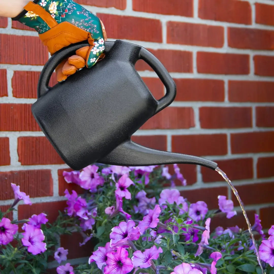 Chapin48000 half-gallon watering can, gallery view 5