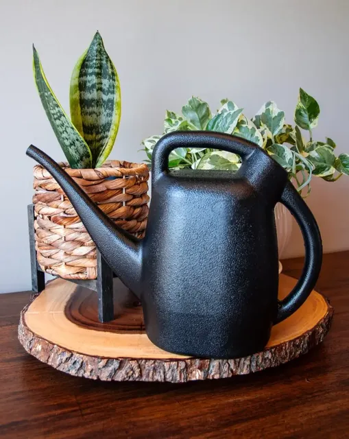 Chapin48000 half-gallon watering can, gallery view 4