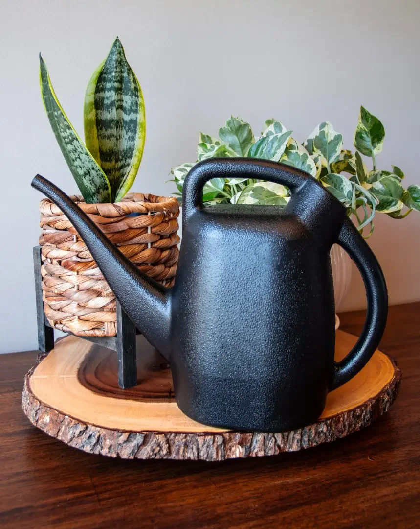 Chapin48000 half-gallon watering can, gallery view 4